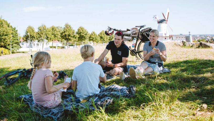 Familiepicnic ved Dybbøl Mølle
