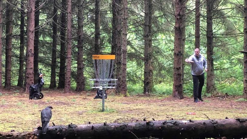 Disc Golf i skoven