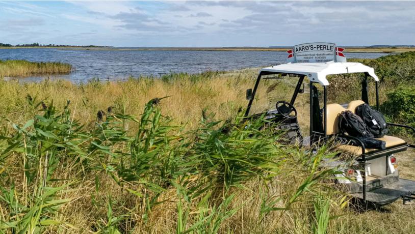Golfvogn i naturen på Aarø
