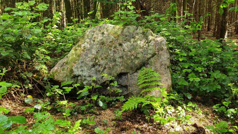 Skålsten i Rumohrsgård dyrehave