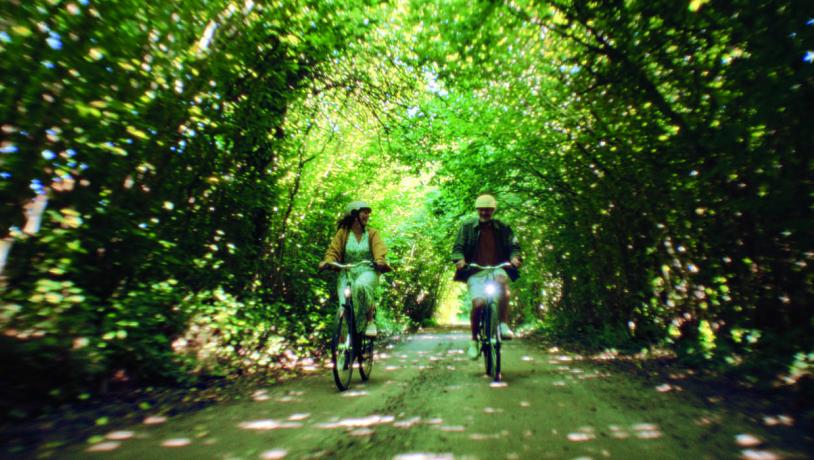 et par cykler i en skov