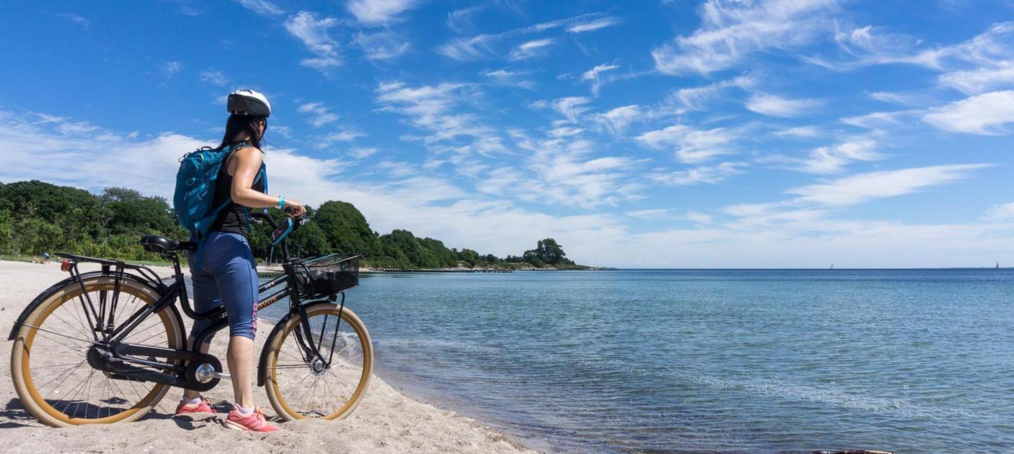 Cyklist på stranden ved Sønderhav og Flensborg Fjord