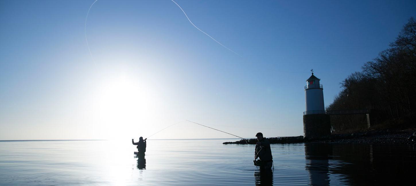 Fluefiskere i vandet ved Taksensand Fyr