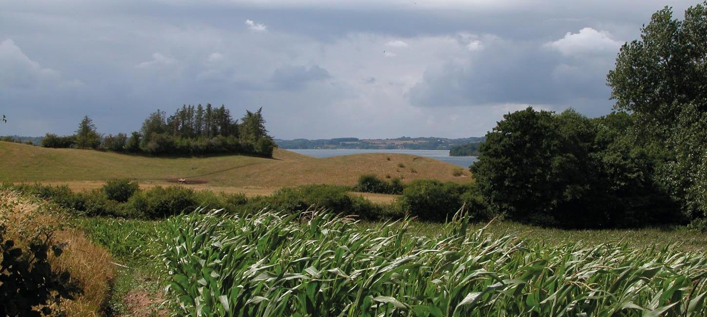 Barsø