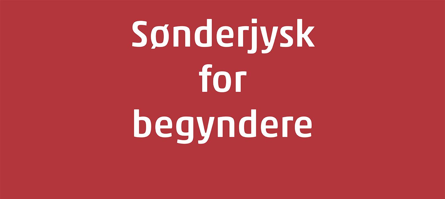 Sønderjysk for Begyndere