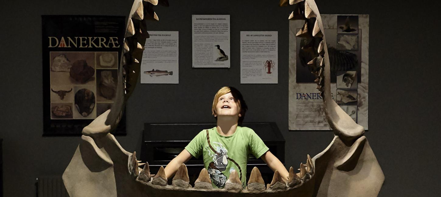 Begejstret dreng på museet ved Gram Lergrav