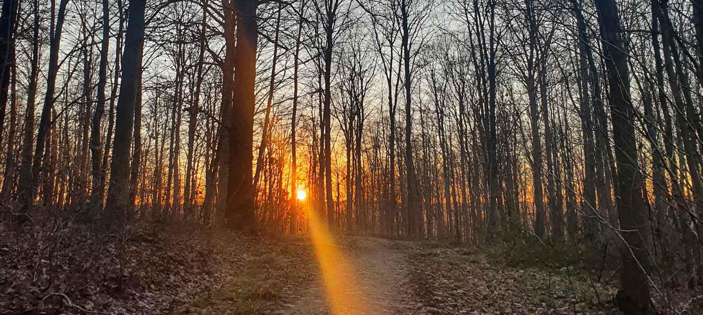 Knapstien i solnedgang