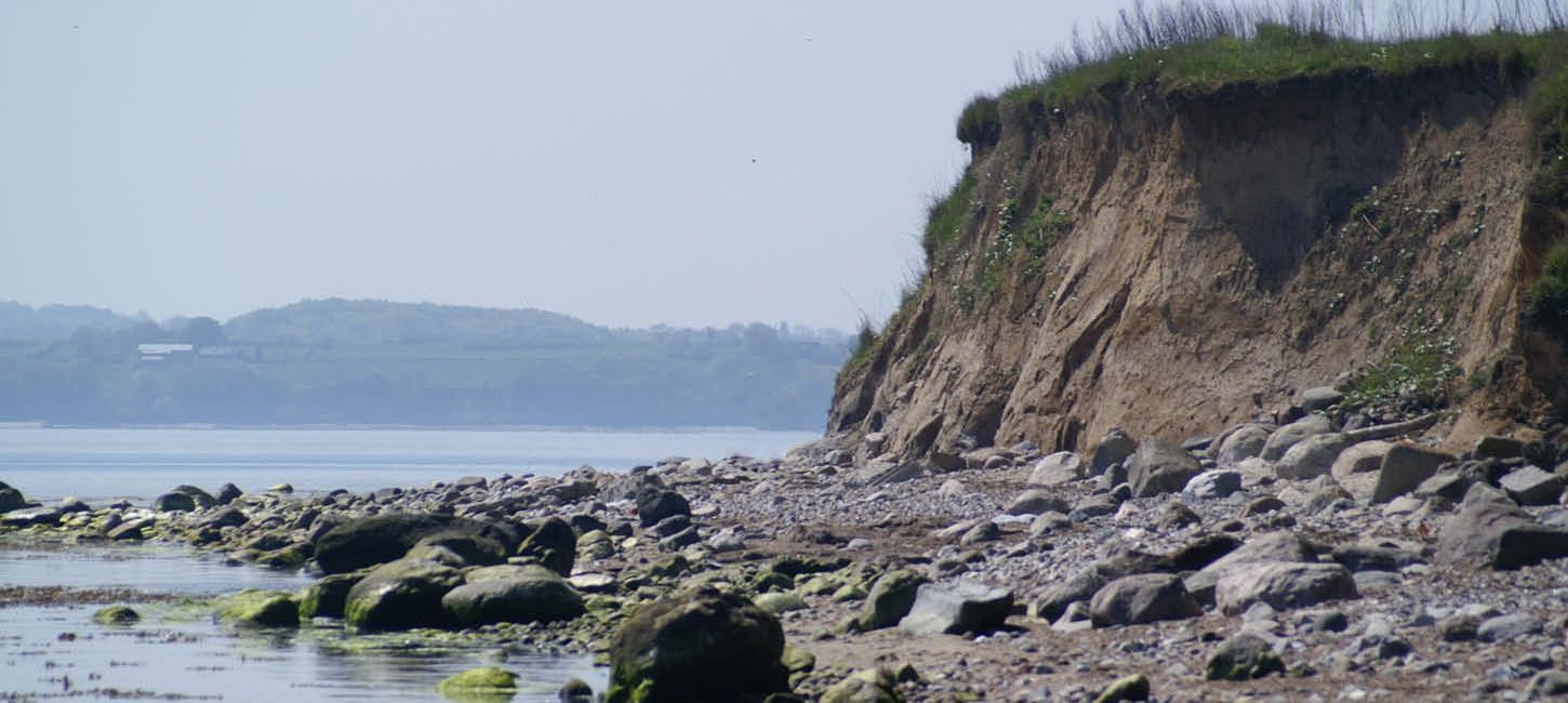 Digesvaler ved Borreshoved Strand