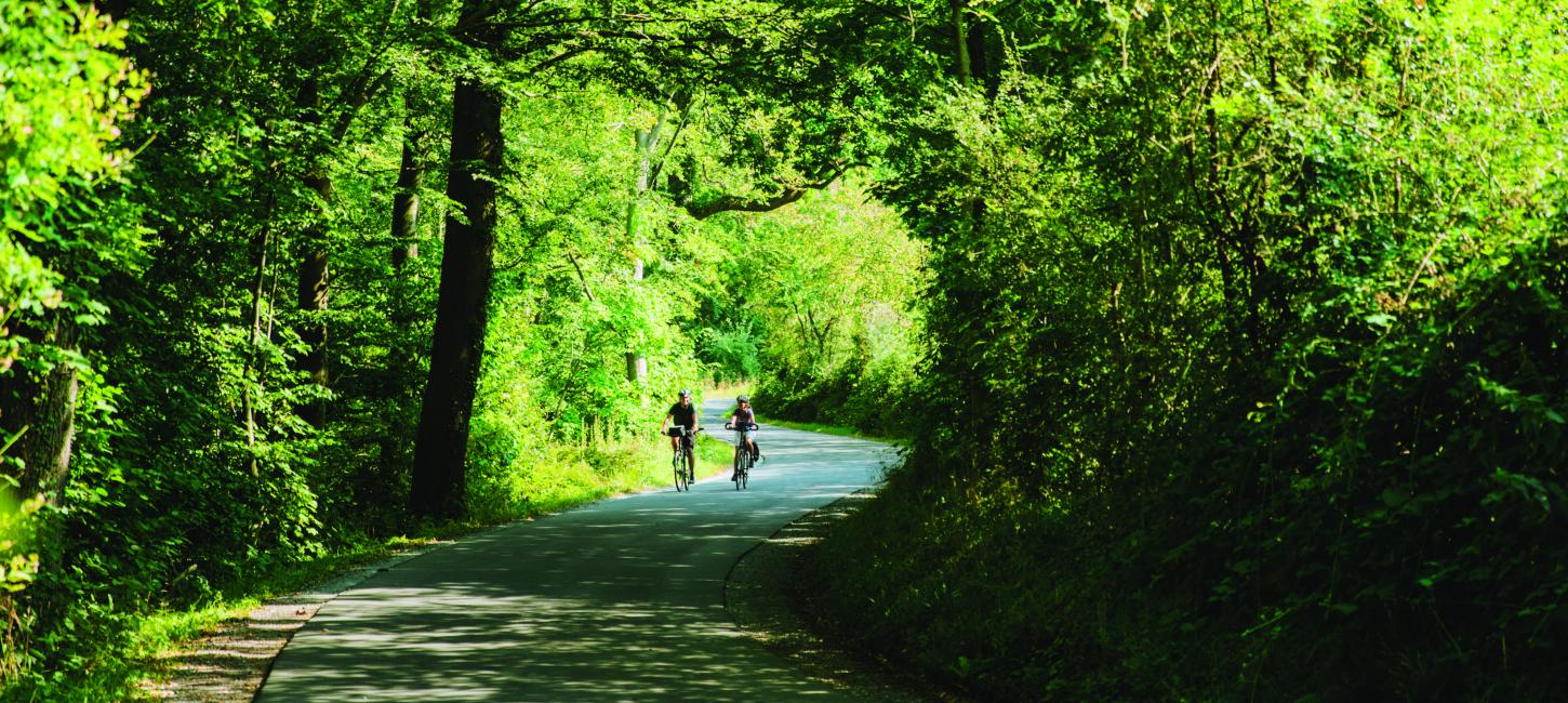 Par der cykler ved Jørgensgård Skov 