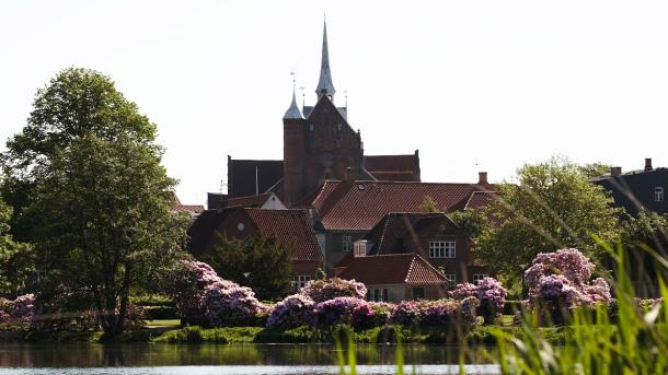 Haderslev Domkirke set fra Haderslev Dam