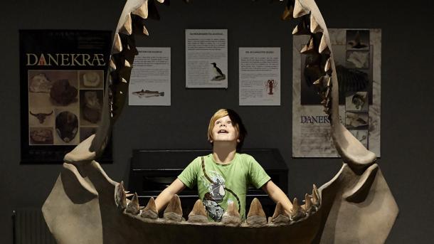 Begejstret dreng på museet ved Gram Lergrav
