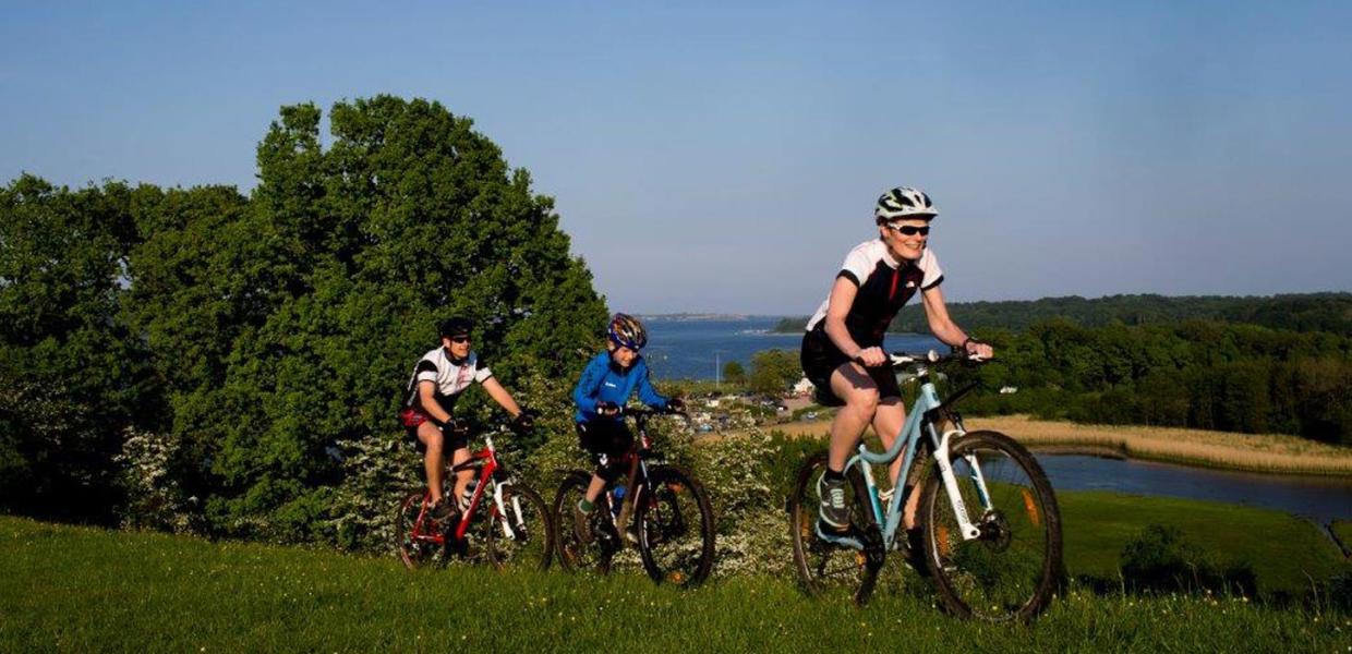 Mountainbikestien på Kalvø