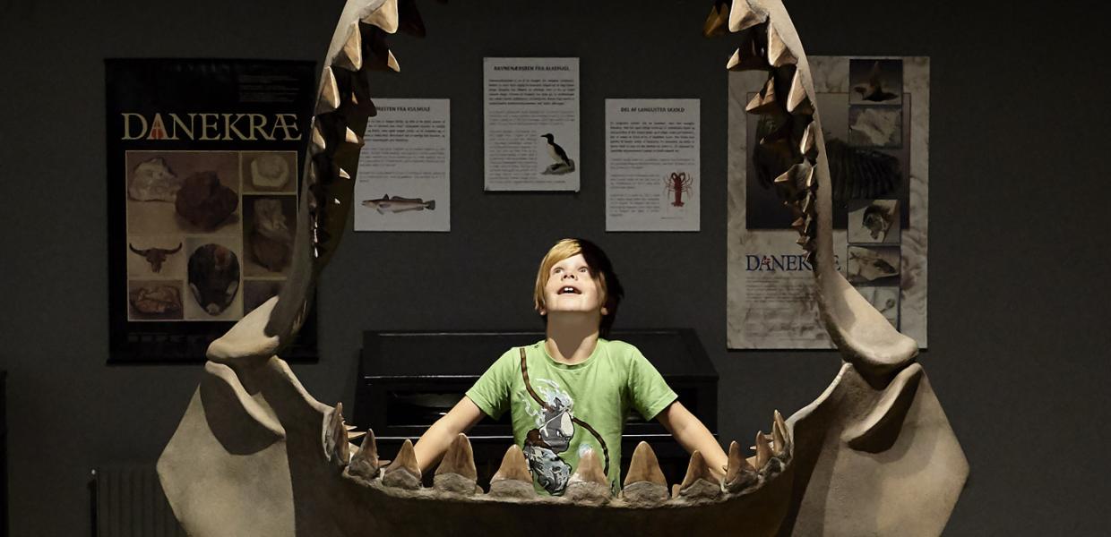 Begejstret dreng på museet ved Gram Lergrav