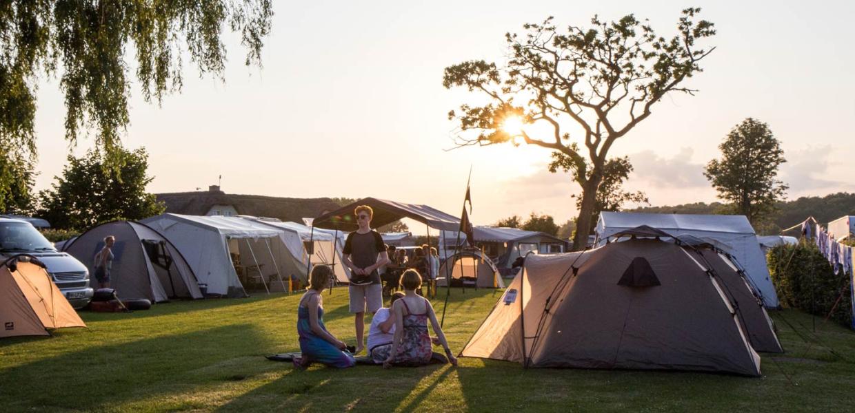 Campinghygge i solskin på Gammelbro Camping