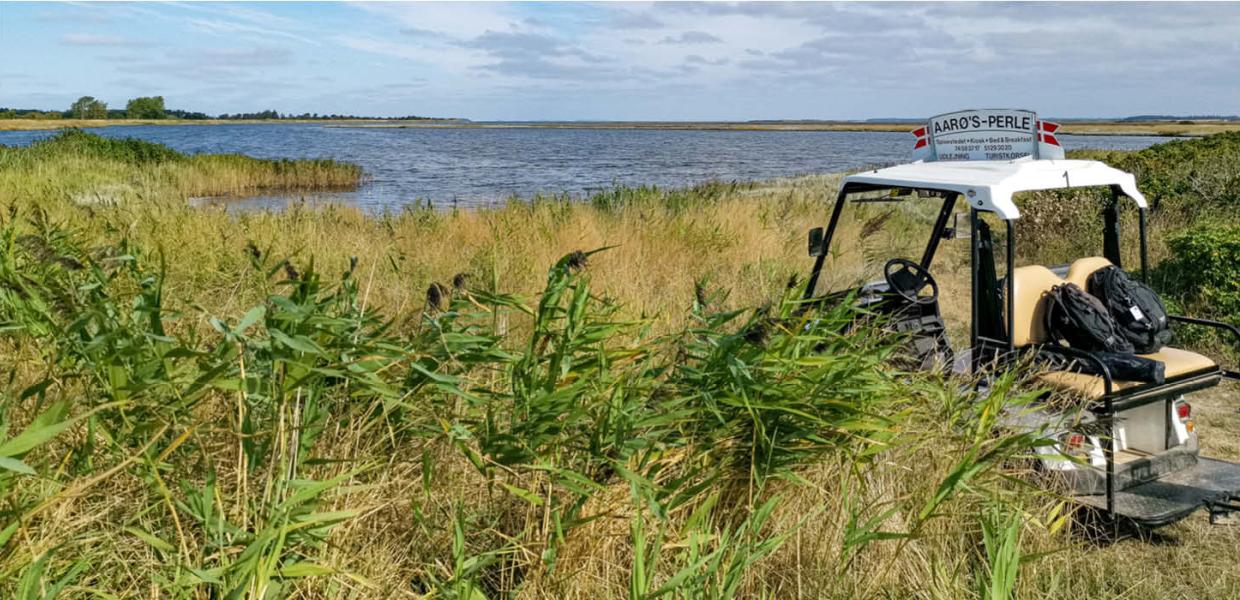 Golfvogn i naturen på Aarø