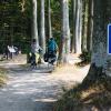 Cykling på Østersøruten ved Sønderskov