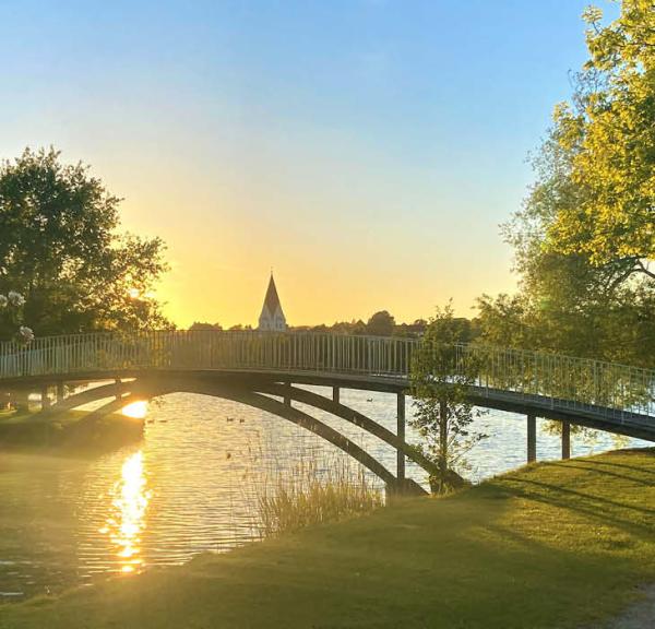 Broen i Haderslev Dampark