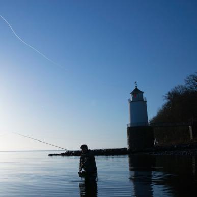 Fluefiskere i vandet ved Taksensand Fyr