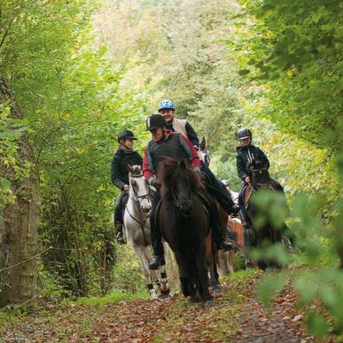 Ryttere og heste i skoven på Riderute Als