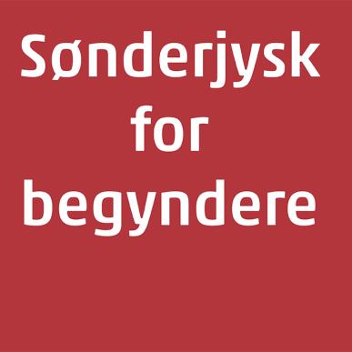 Sønderjysk for Begyndere