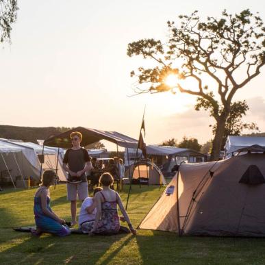 Campinghygge i solskin på Gammelbro Camping