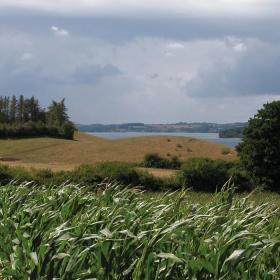 Barsø