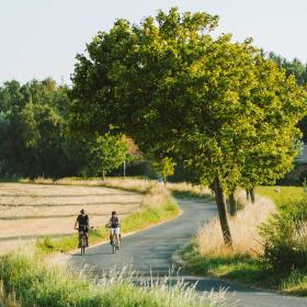 Par cykler blandt danske marker