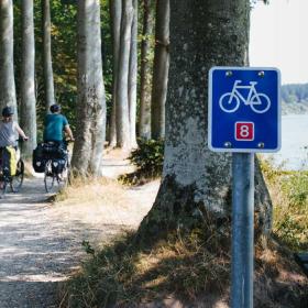Cykling på Østersøruten ved Sønderskov