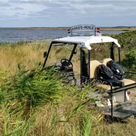 Golfvogn i naturen på Aarø