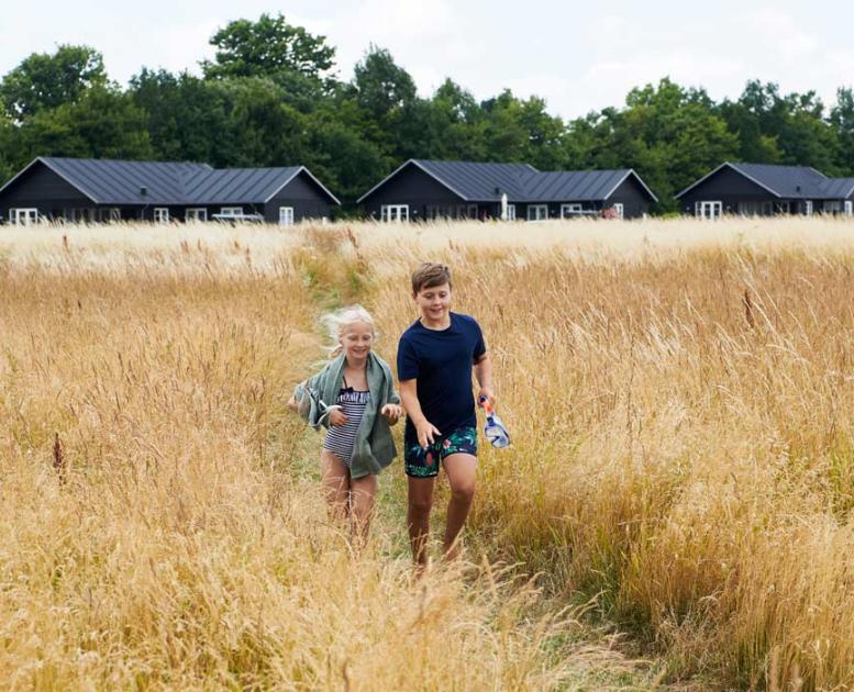 Børn i kornmark foran sommerhuse