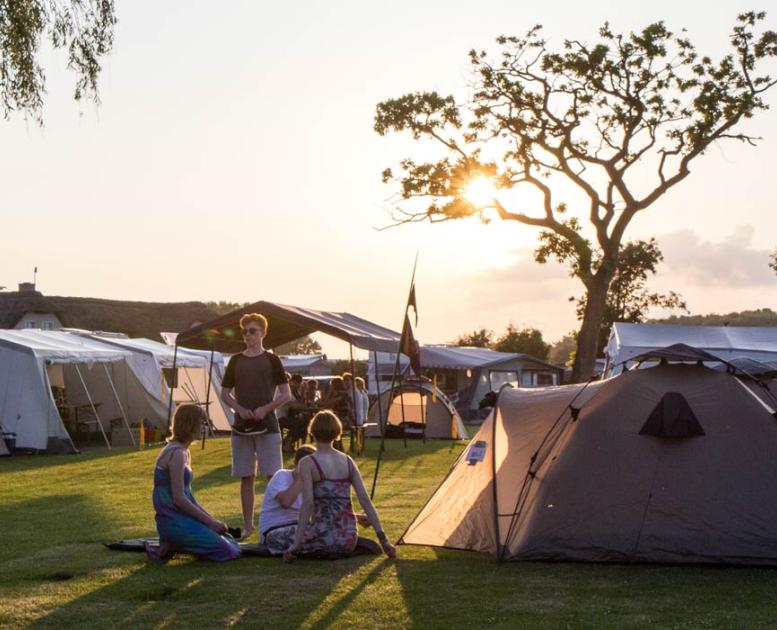 Campinghygge i solskin på Gammelbro Camping