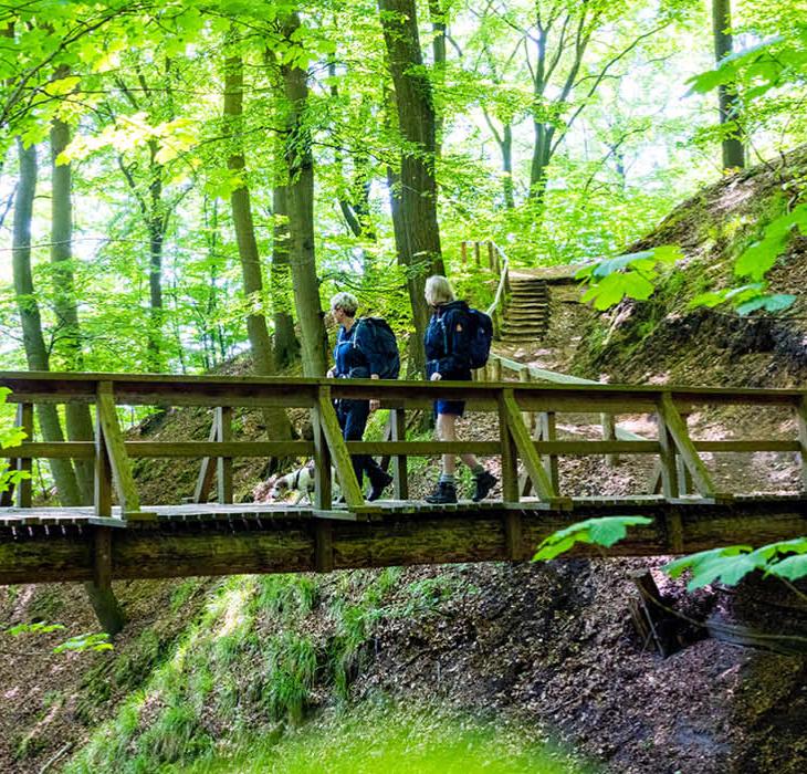 Wanderung auf dem Gendarmenpfad über die Brücke im Kollund Wald