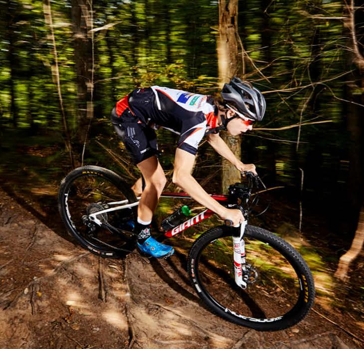 Mountainbikerytter på vej ned af en bakke i Pamhule Skov